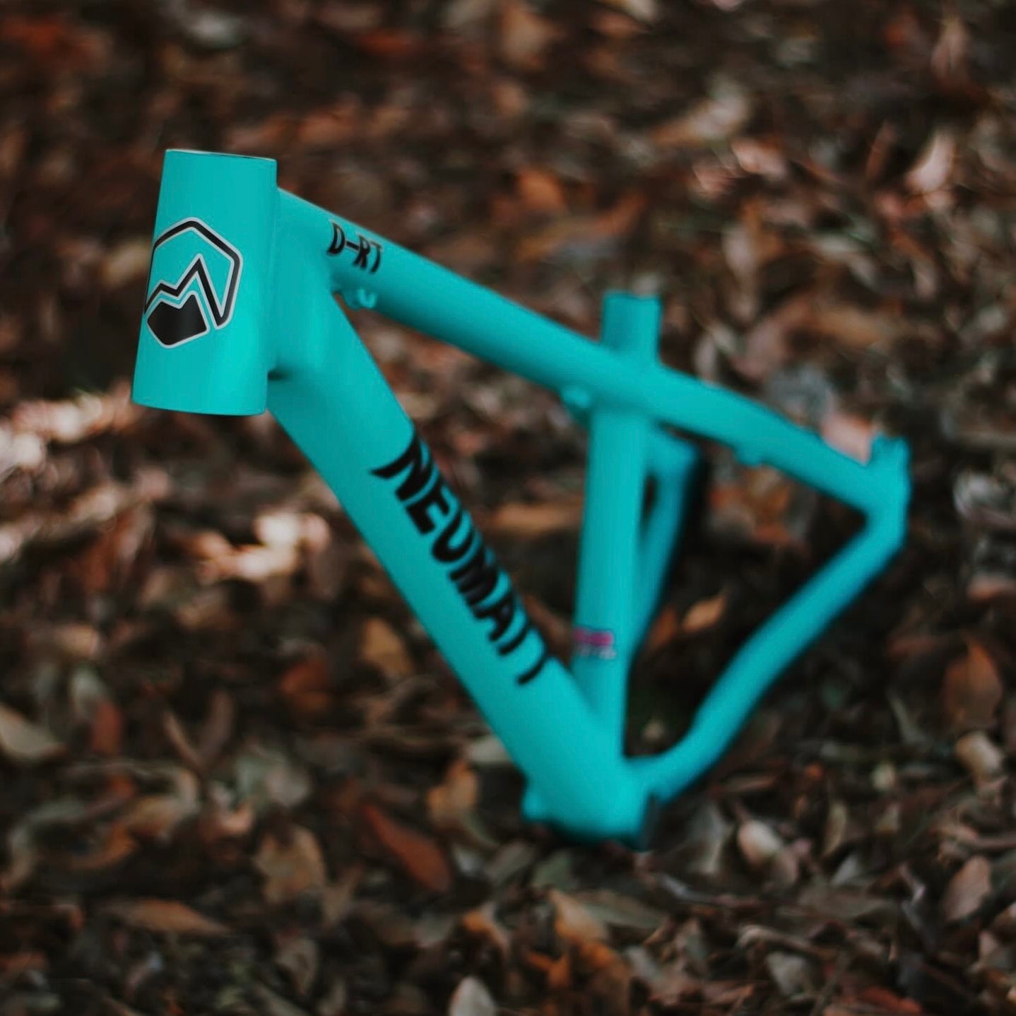 Cuadro Dirt Jump Neumatt R-26 Menta