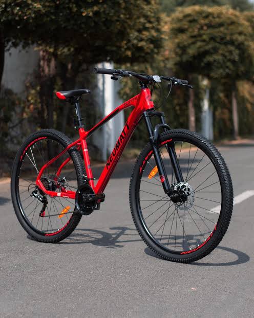 Bicicleta Neumatt Slayer R-29 Red