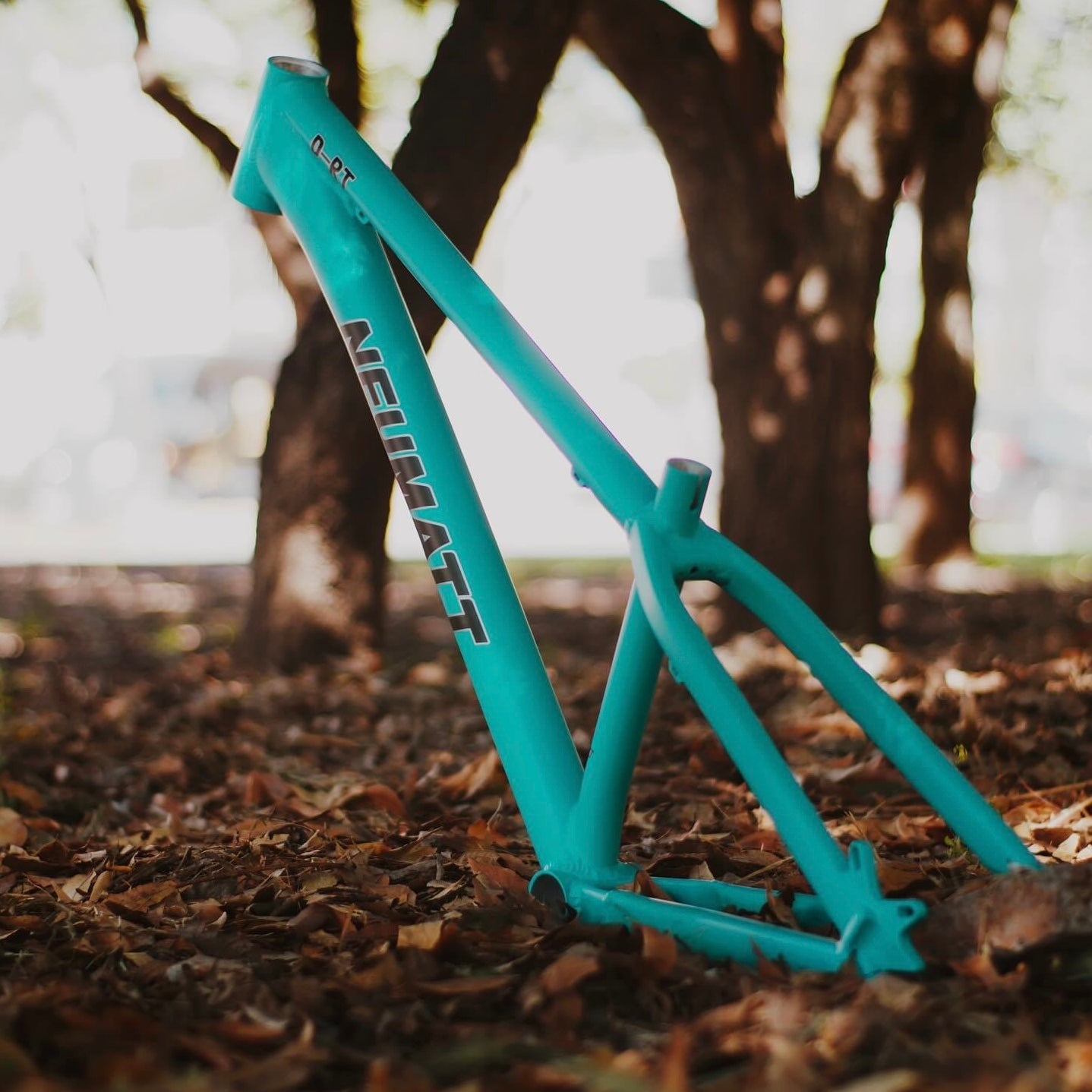 Cuadro Dirt Jump Neumatt R-26 Menta