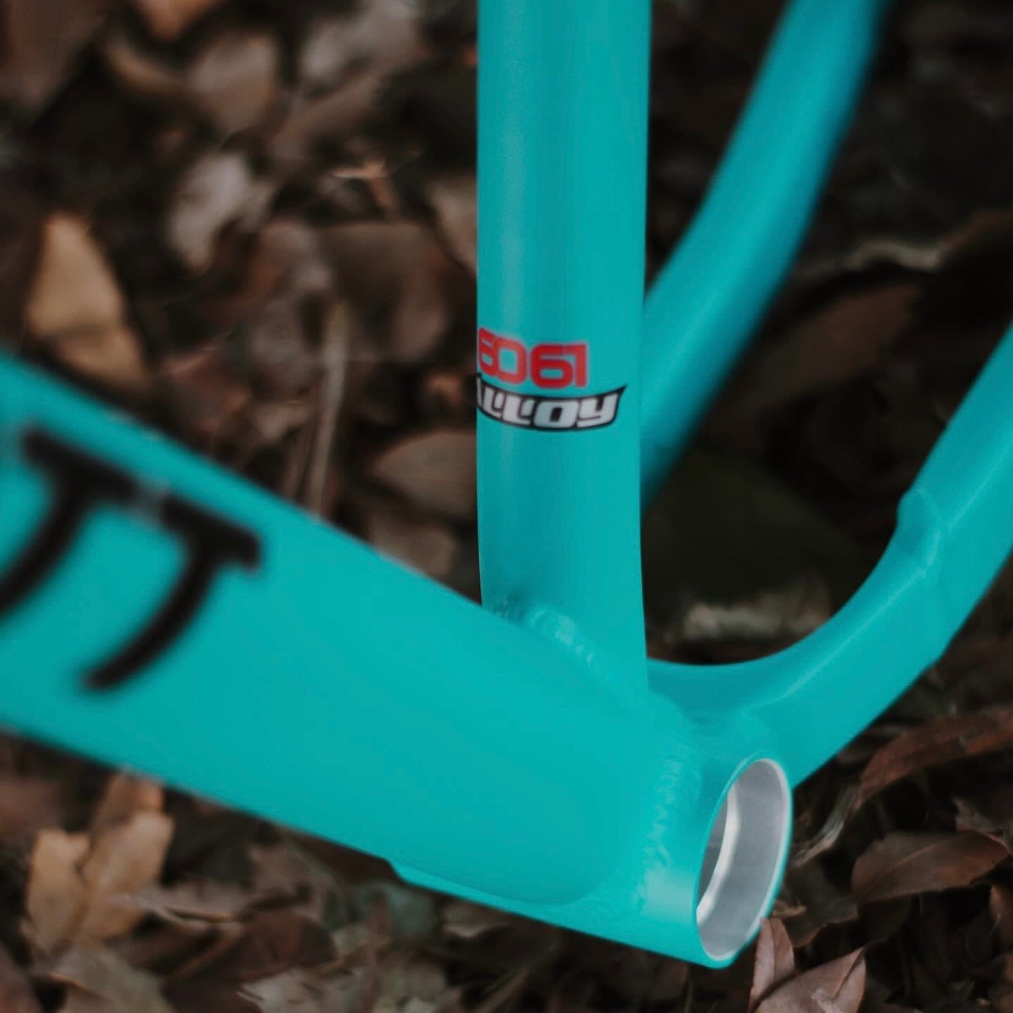 Cuadro Dirt Jump Neumatt R-26 Menta