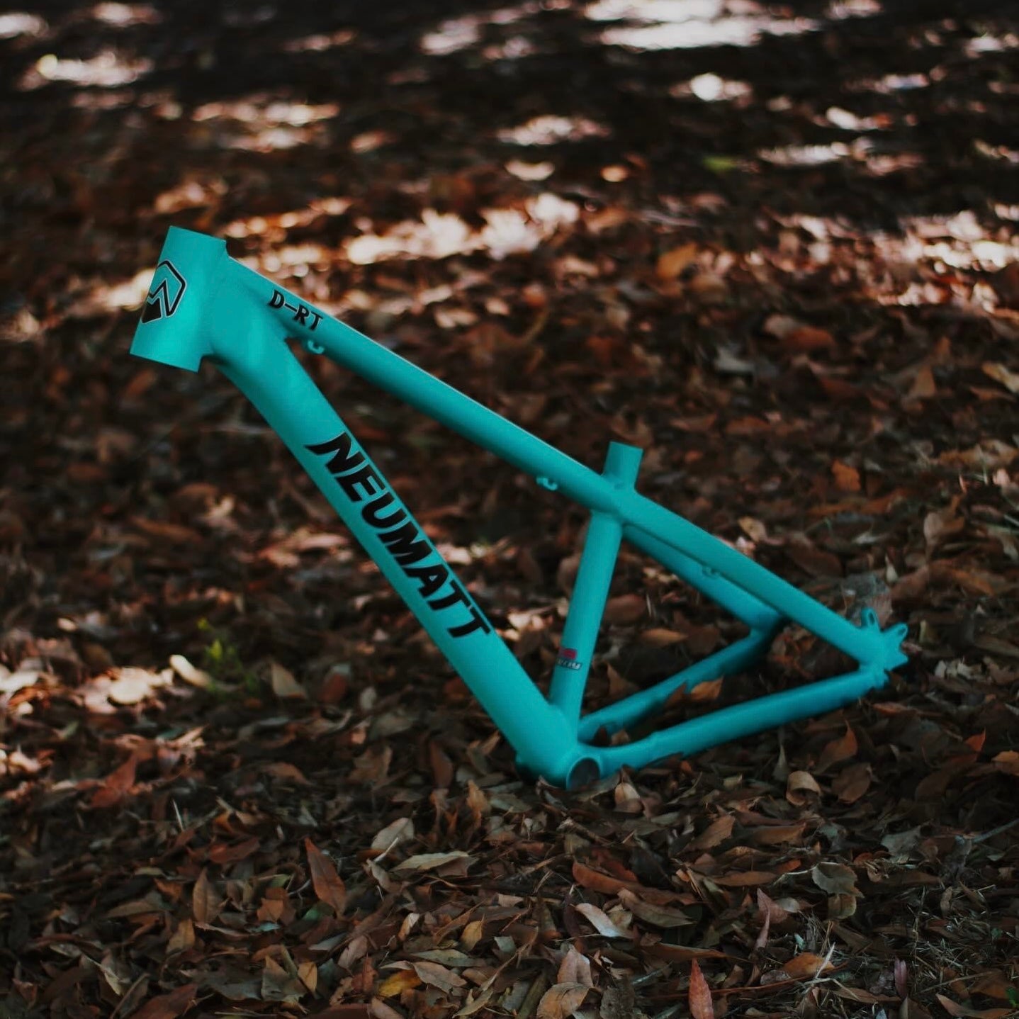 Cuadro Dirt Jump Neumatt R-26 Menta