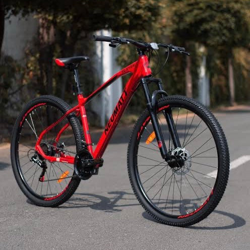 Bicicleta Neumatt Slayer R-29 Red